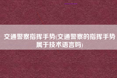 交通警察指挥手势(交通警察的指挥手势属于技术语言吗)