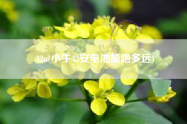42u(小牛42安电池能跑多远)