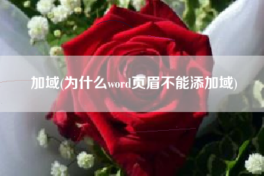 加域(为什么word页眉不能添加域)