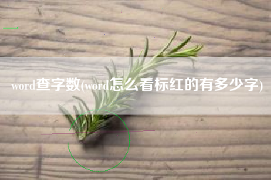 word查字数(word怎么看标红的有多少字)