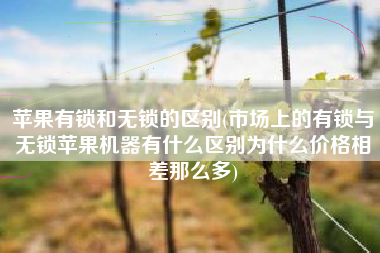 苹果有锁和无锁的区别(市场上的有锁与无锁苹果机器有什么区别为什么价格相差那么多)