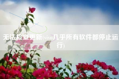 无法检查更新(vivo几乎所有软件都停止运行)