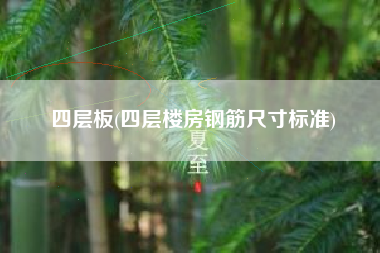 四层板(四层楼房钢筋尺寸标准)