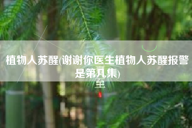 植物人苏醒(谢谢你医生植物人苏醒报警是第几集)