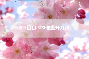 SCSI接口(SCSI硬盘分几种)