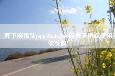 屏下摄像头(oppofindx2pro的屏下指纹是摄像头吗)