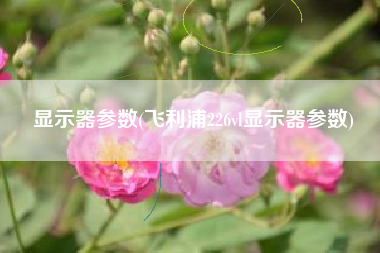 显示器参数(飞利浦226vl显示器参数)