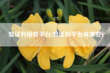 验证码接收平台(验证码平台有哪些)