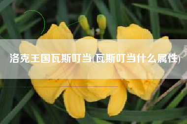 洛克王国瓦斯叮当(瓦斯叮当什么属性)