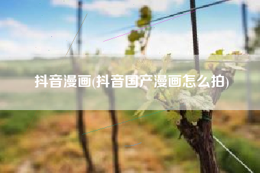 抖音漫画(抖音国产漫画怎么拍)