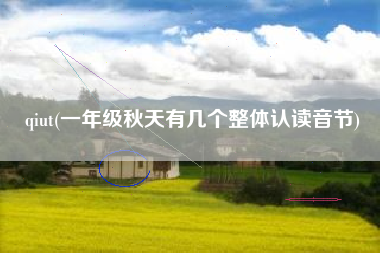 qiut(一年级秋天有几个整体认读音节)