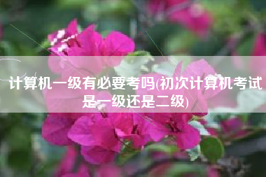 计算机一级有必要考吗(初次计算机考试是一级还是二级)