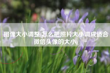 图像大小调整(怎么把照片大小调成适合微信头像的大小)