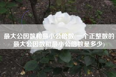 最大公因数和最小公倍数(一个正整数的最大公因数和最小公倍数是多少)