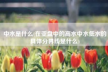中水是什么(在亚盘中的高水中水低水的具体分界线是什么)