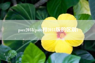 pscc2018(pscc和2018版的区别)