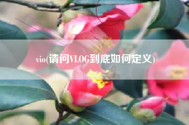 vio(请问VLOG到底如何定义)