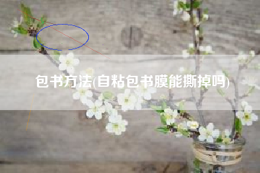 包书方法(自粘包书膜能撕掉吗)