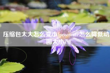 压缩包太大怎么变小(procreate怎么降低动图大小)
