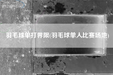 羽毛球单打界限(羽毛球单人比赛场地)