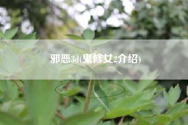 邪恶3d(鬼修女2介绍)