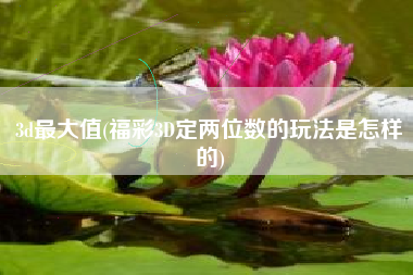 3d最大值(福彩3D定两位数的玩法是怎样的)
