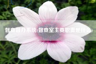 督查督办系统(督查室主要职责是什么)