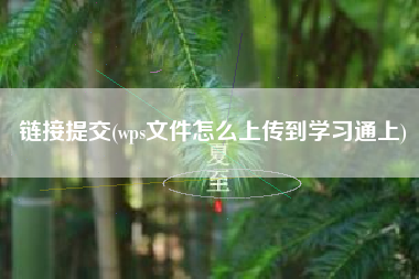 链接提交(wps文件怎么上传到学习通上)