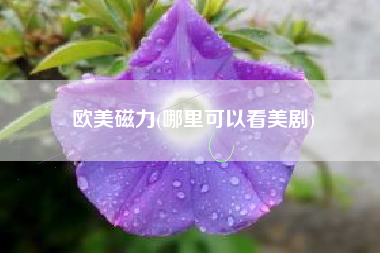 欧美磁力(哪里可以看美剧)