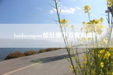 baiduyunpan(能吐槽下百度网盘吗)