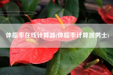 体脂率在线计算器(体脂率计算器男士)