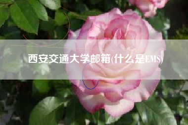 西安交通大学邮箱(什么是EMS)