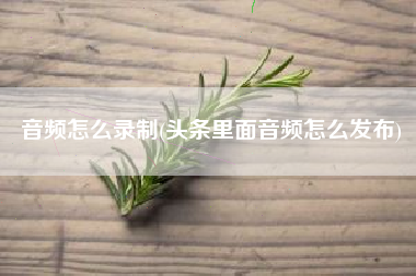 音频怎么录制(头条里面音频怎么发布)