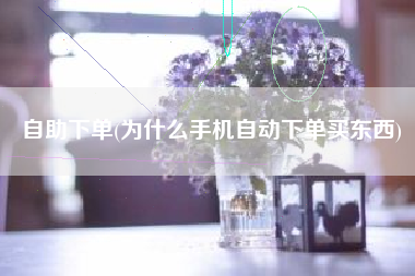自助下单(为什么手机自动下单买东西)