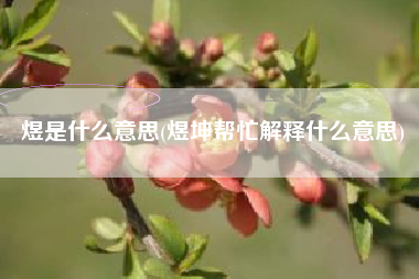 煜是什么意思(煜坤帮忙解释什么意思)