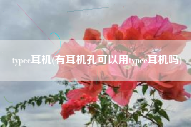 typec耳机(有耳机孔可以用typec耳机吗)