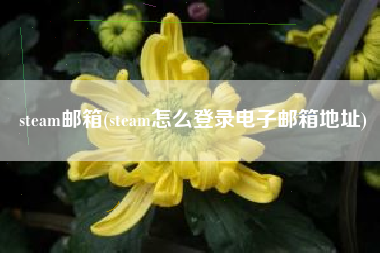 steam邮箱(steam怎么登录电子邮箱地址)
