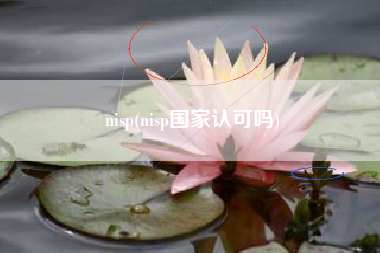 nisp(nisp国家认可吗)