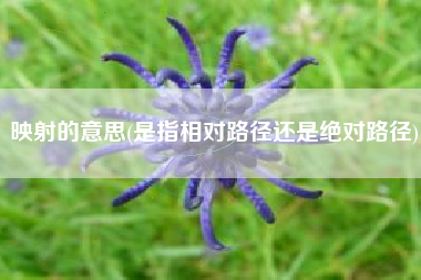 映射的意思(是指相对路径还是绝对路径)