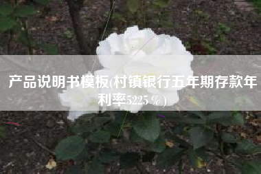 产品说明书模板(村镇银行五年期存款年利率5225％)