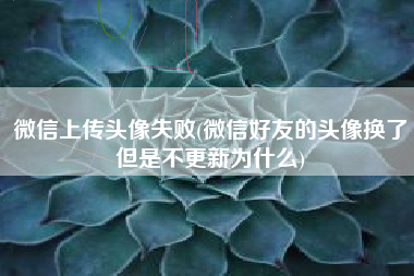 微信上传头像失败(微信好友的头像换了但是不更新为什么)