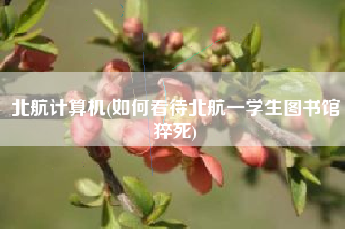 北航计算机(如何看待北航一学生图书馆猝死)