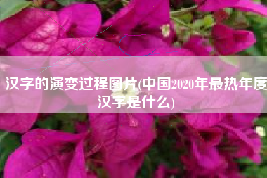 汉字的演变过程图片(中国2020年最热年度汉字是什么)