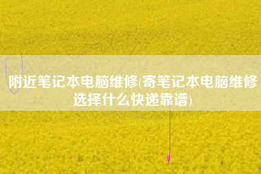 附近笔记本电脑维修(寄笔记本电脑维修选择什么快递靠谱)
