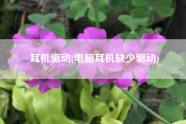 耳机驱动(电脑耳机缺少驱动)