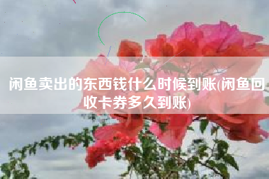 闲鱼卖出的东西钱什么时候到账(闲鱼回收卡券多久到账)