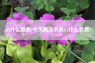 h5什么意思(小天鹅洗衣机h5什么意思)