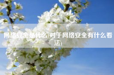 网络安全是什么(对于网络安全有什么看法)