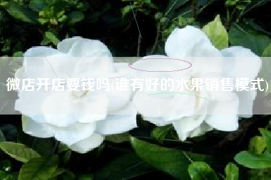 微店开店要钱吗(谁有好的水果销售模式)