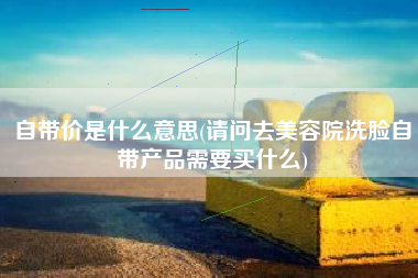 自带价是什么意思(请问去美容院洗脸自带产品需要买什么)
